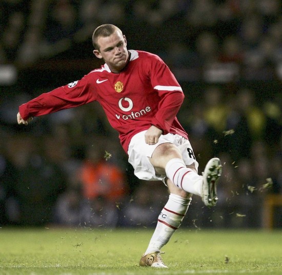 他们形成了 他们形成了