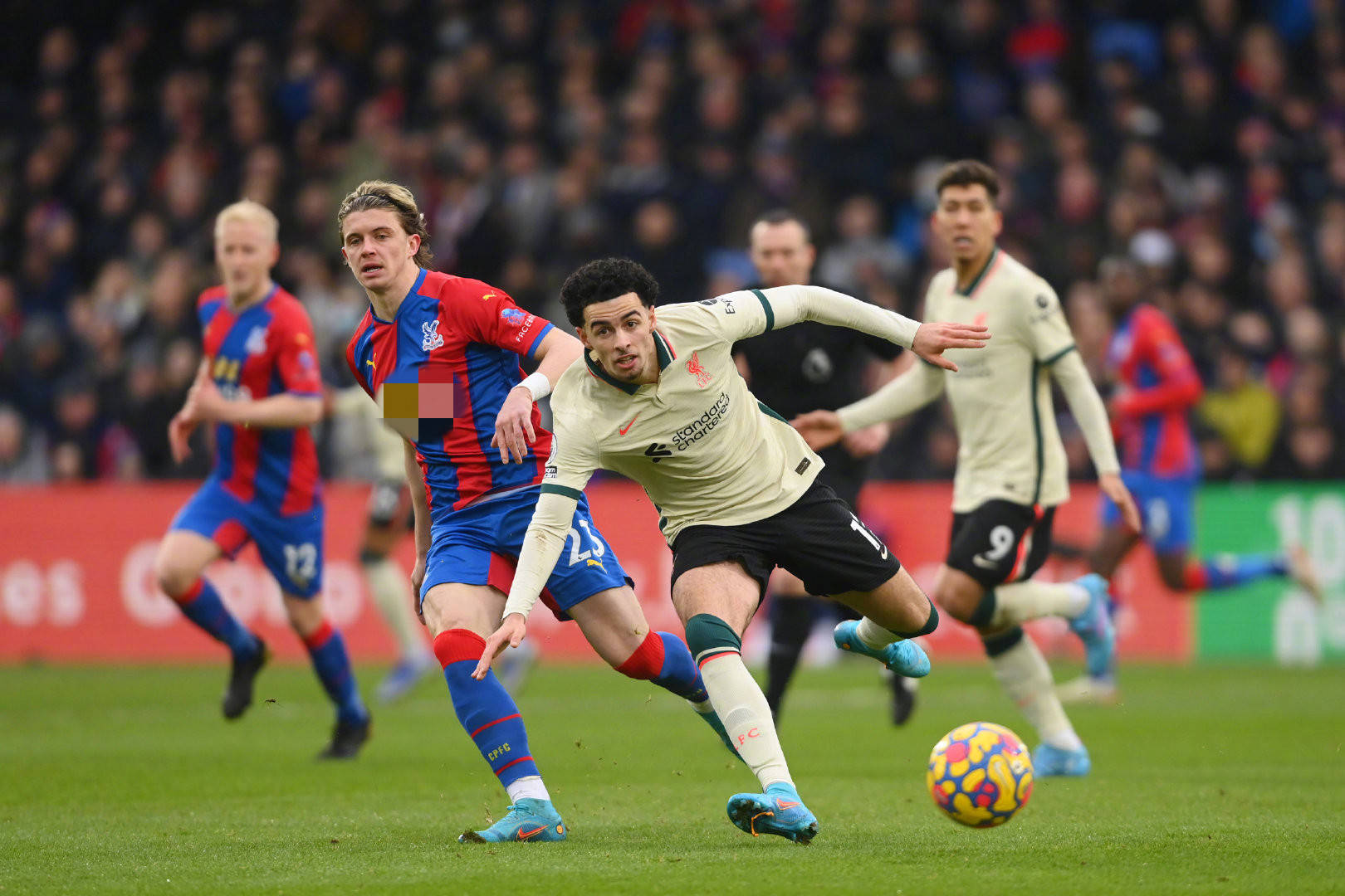 忽视他曾在 忽视他曾在